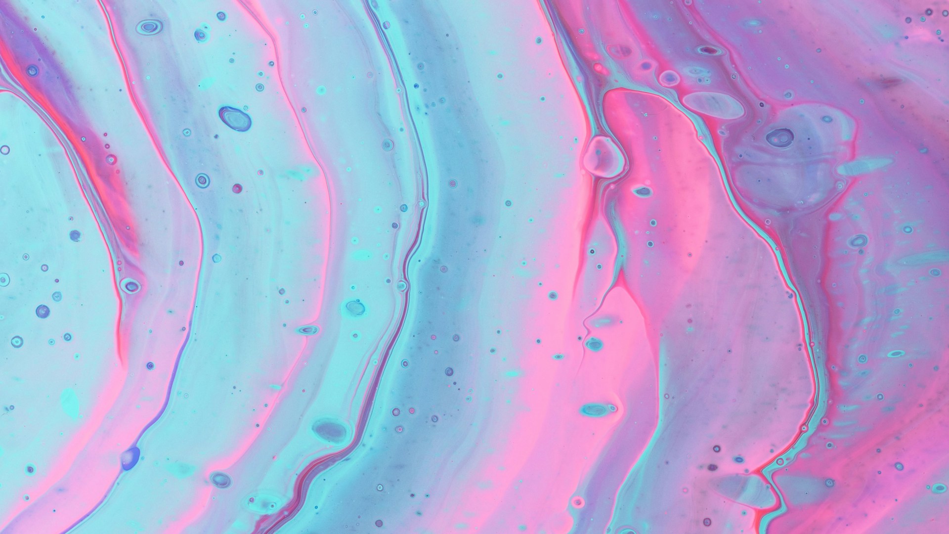 Обои природа цветы поле 4K